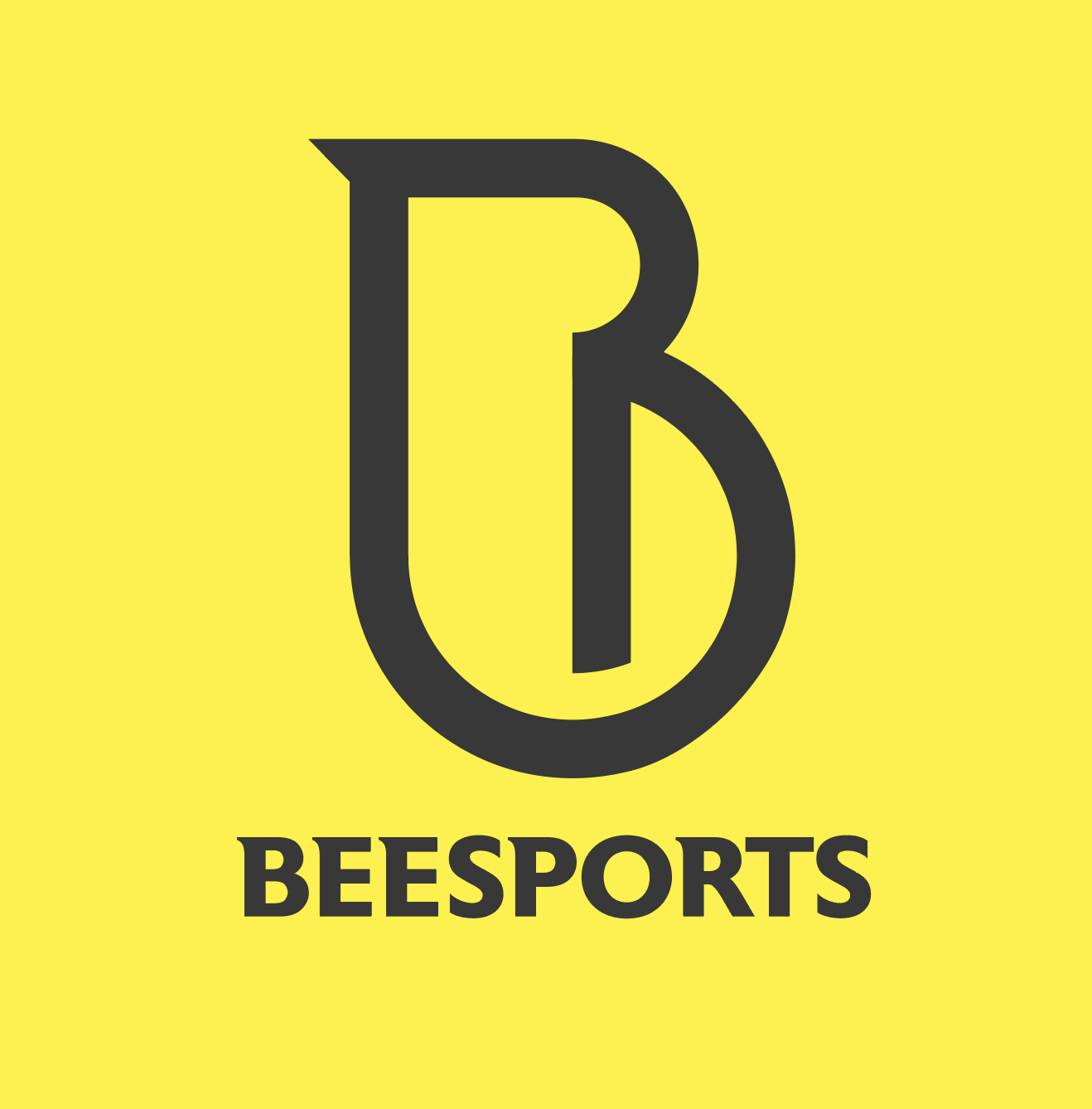 Bee Sports豐盈運動用品有限公司